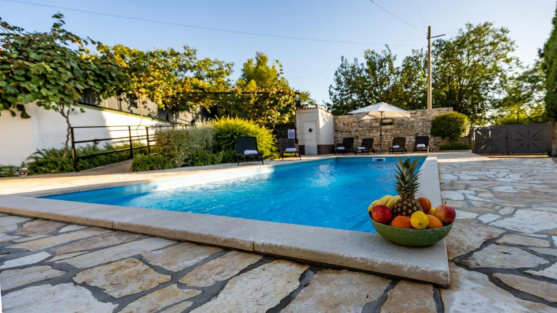 Villa Dominique Svetvinčenat كرواتيا