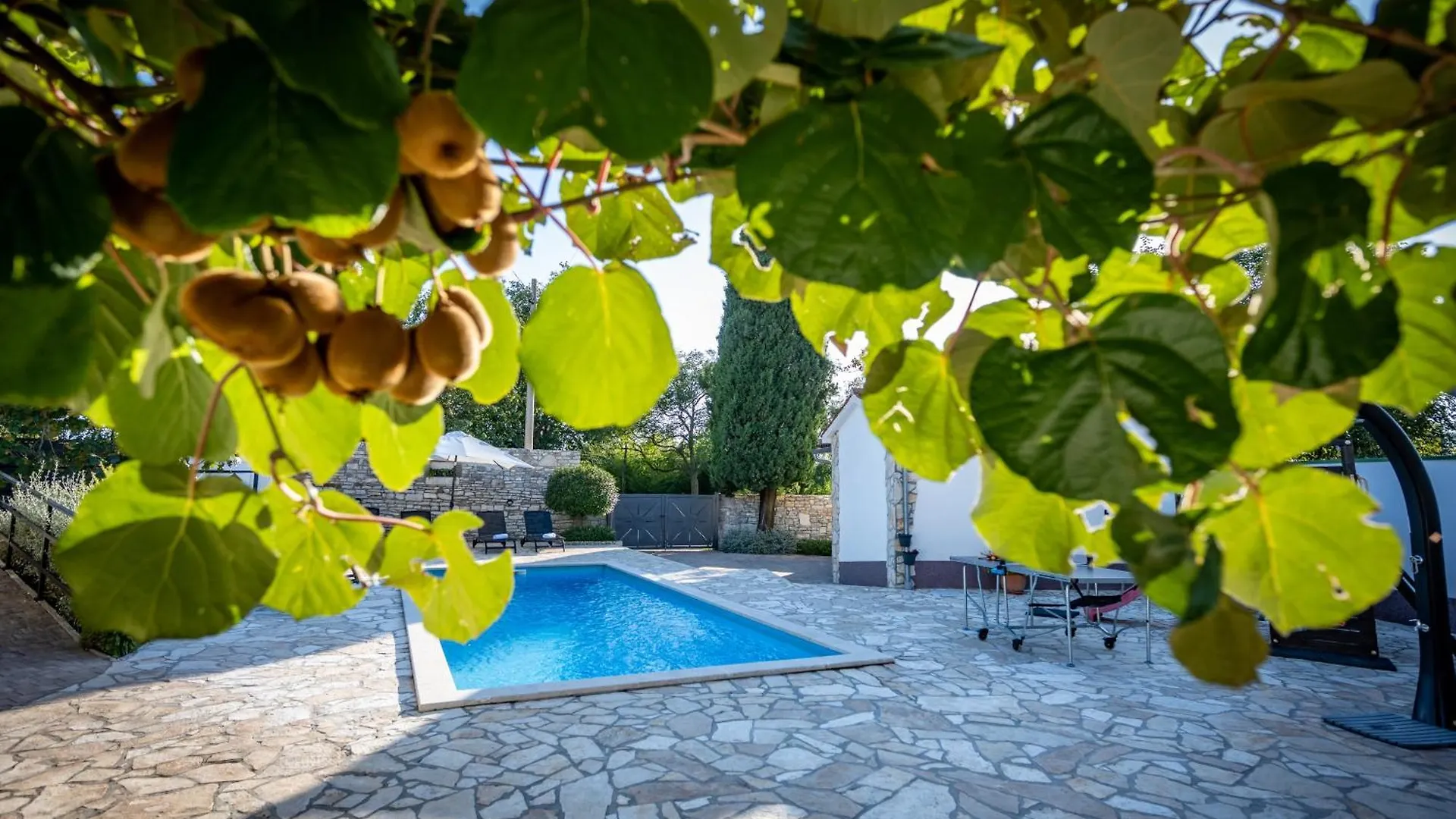 Villa Dominique Svetvinčenat كرواتيا
